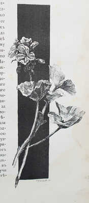 Елисеев А.В. По белу-свету. Очерки и картины из путешествий по трем частям Старого света. [В 4 т.].